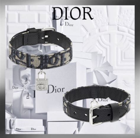 dior oblique pet collar